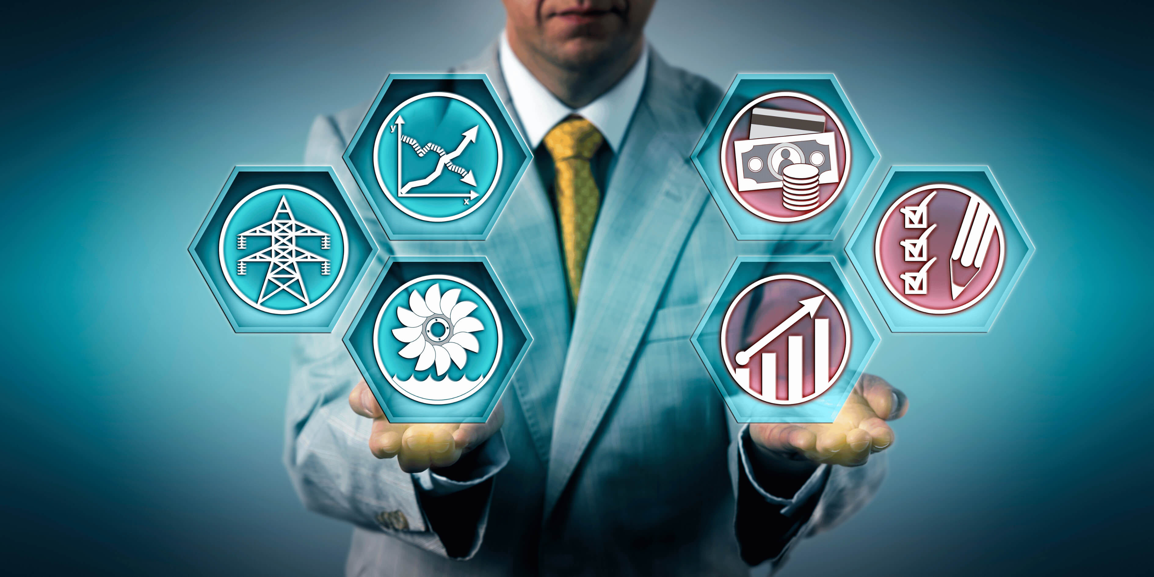 Project Execution Strategy